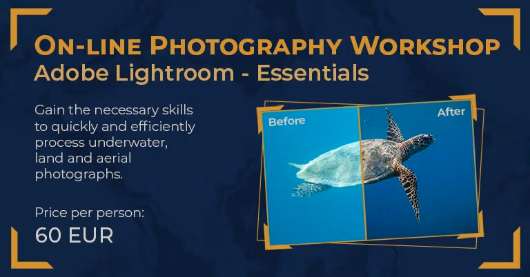 Adobe Lightroom workshop - Adobe Lightroom Essentials - on-line.
