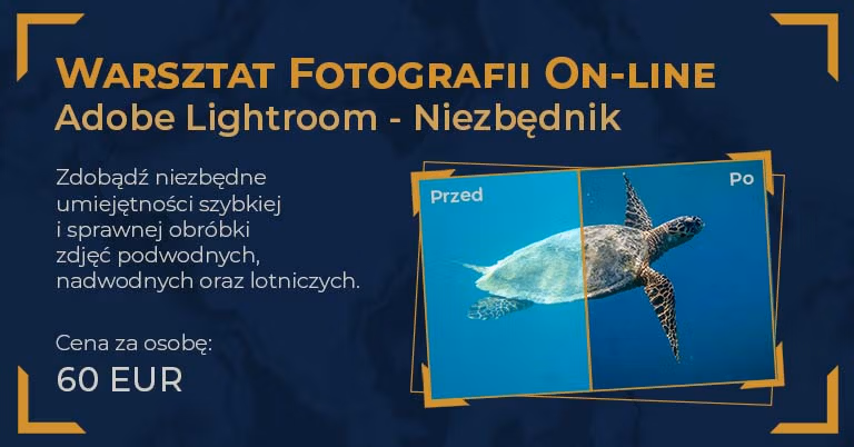 Warsztat Adobe Lightroom - Niezbędnik. Nauka on-line.Niezbędne umiejętności szybkiej i sprawnej obróbki zdjęć podwodnych, nadwodnych lub lotniczych w programie Adobe Lightroom.