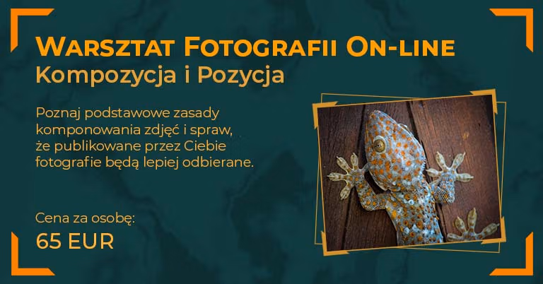 Warsztat Fotografii On-line. Kompozycja i Pozycja. SEAmagination - Fotogrametria, Edukacja, Dokumentacja