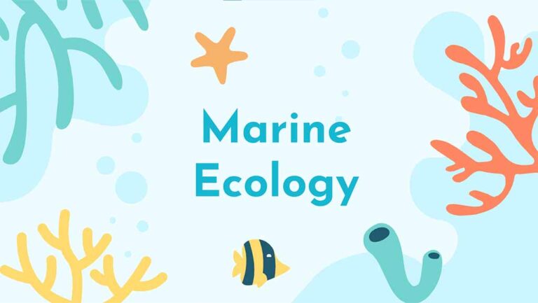 Marine Ecology Webinars - title image