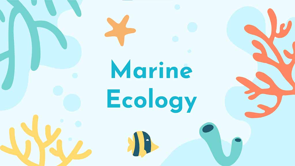 Marine Ecology Webinars - title image