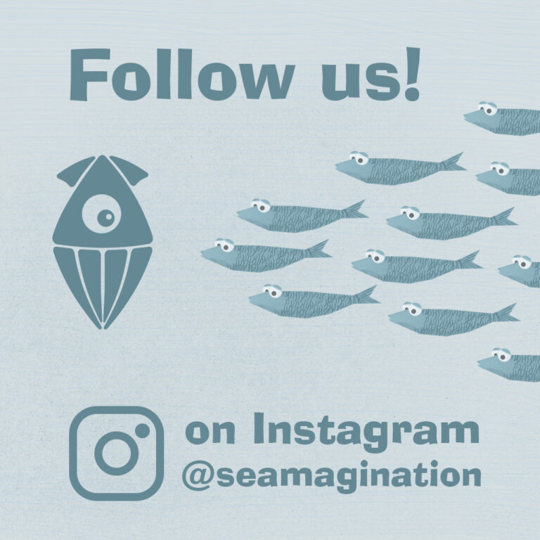 follow us on Instagram
