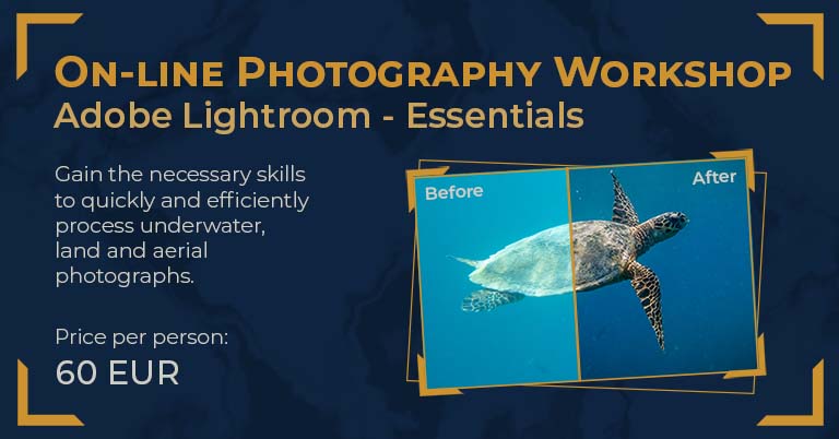Adobe Lightroom - Essentials. Online Photography Workshop with SEAmagination
