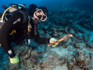 Mariusz Milka holds an ancient bone he found underwater at the islet of Krava, Vis, Croatia. Underwater Archaeology.